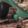 Camping Tent Tarp - As Picture